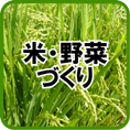 米・野菜づくり