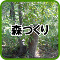 森づくり